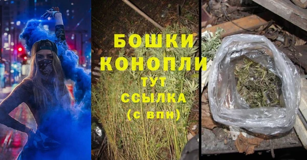 сатива Верея
