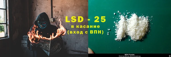 сатива Верея