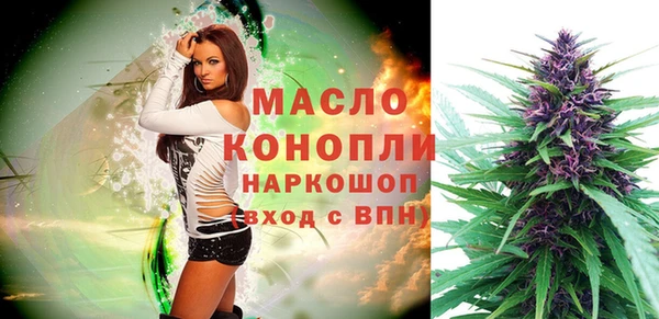 сатива Верея