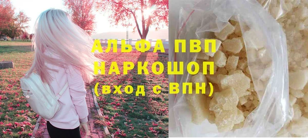 сатива Верея
