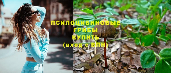 мдпв Верхний Тагил