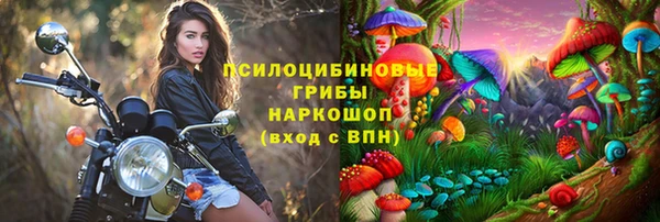 мдпв Верхний Тагил
