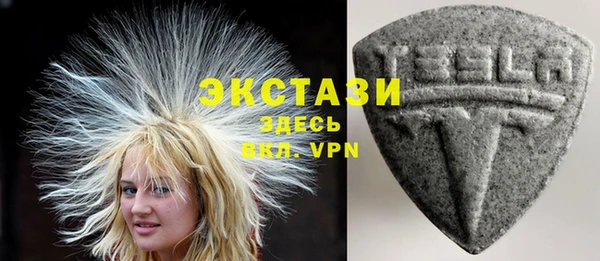 сатива Верея