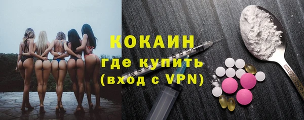 сатива Верея