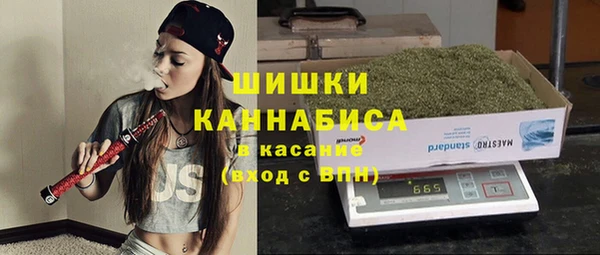 мдпв Верхний Тагил