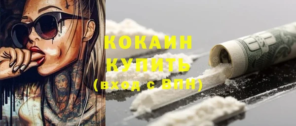 мдпв Верхний Тагил